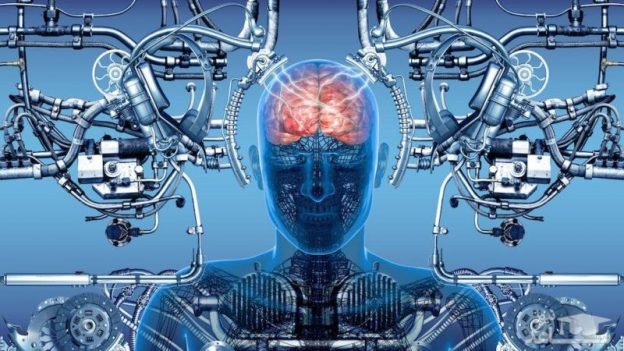 Inside the Mind of a Spammer: Insights from Cybersecurity Experts
